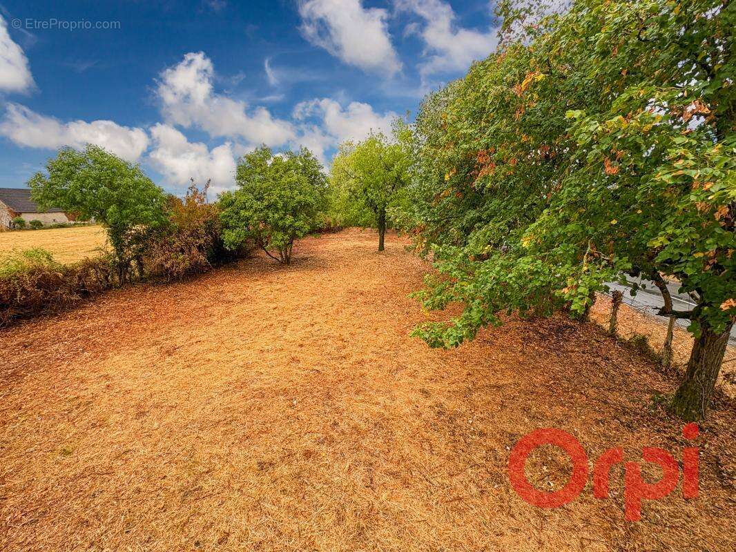 Maison à UZAY-LE-VENON