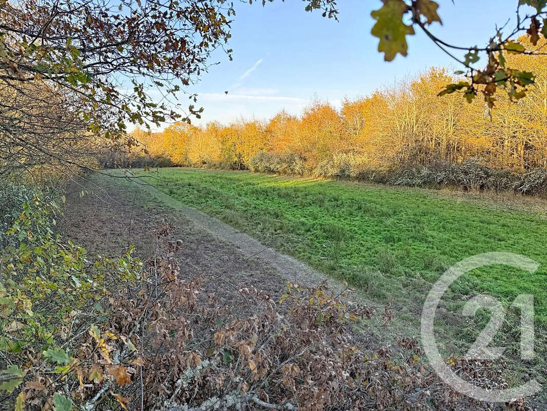 Maison à MENESTREAU-EN-VILLETTE