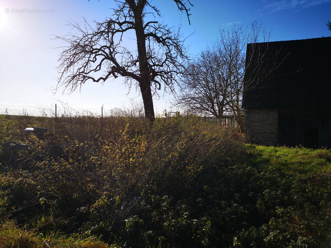 Maison à CROETTWILLER