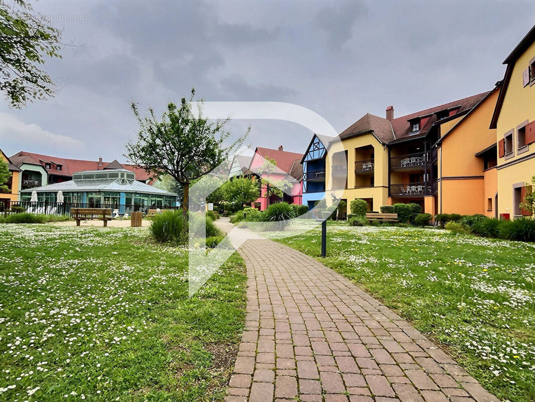 Appartement à EGUISHEIM