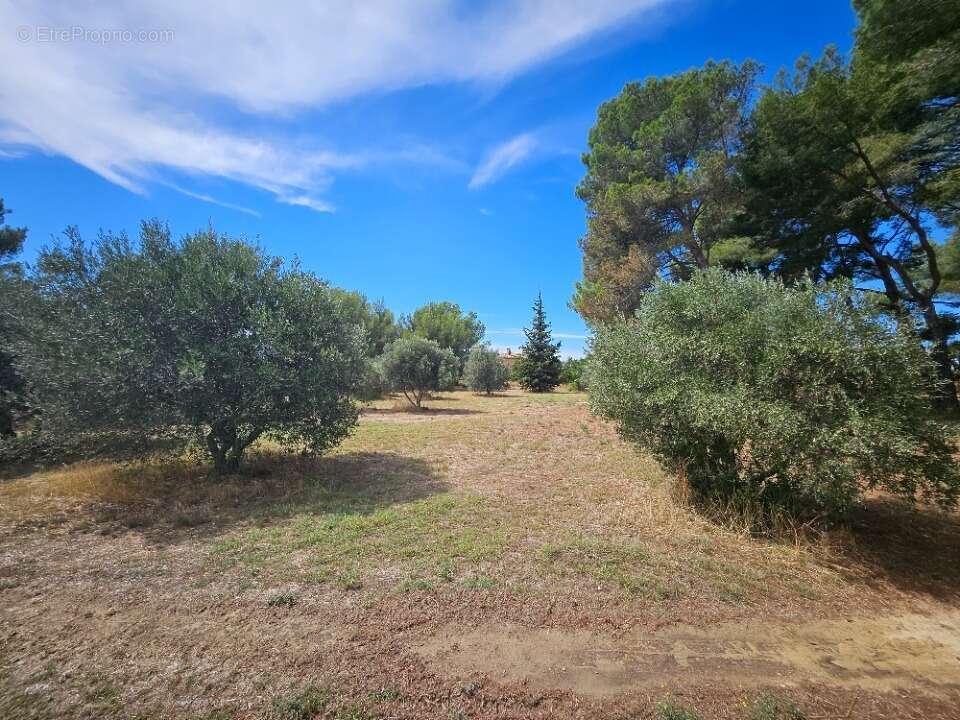 Terrain 472 m² à Saint-Chamas  - photo 5