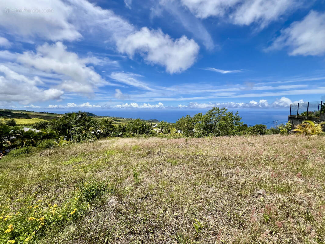 Terrain à SAINT-PIERRE