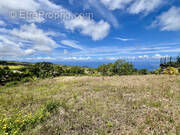 Terrain à SAINT-PIERRE