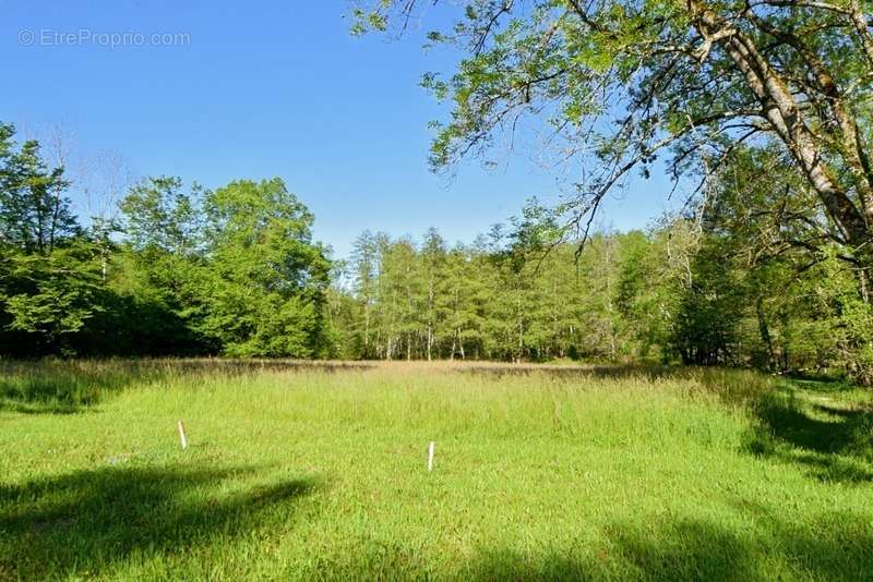 Maison à LA CHAUX-EN-BRESSE