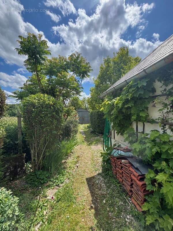 Dpt Cher (18), à vendre BEFFES maison P5 avec piscine - photo 11