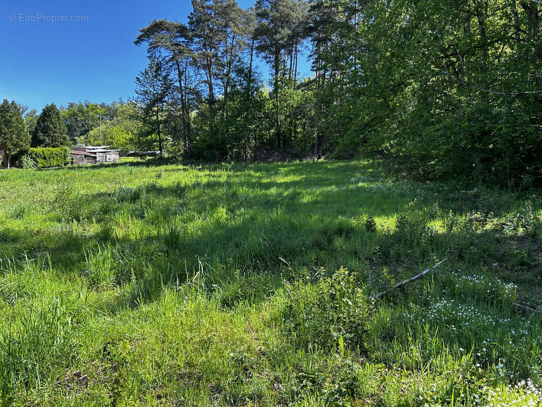 Terrain à PASLIERES