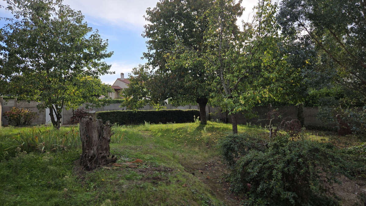 Maison à CHAMPTOCEAUX