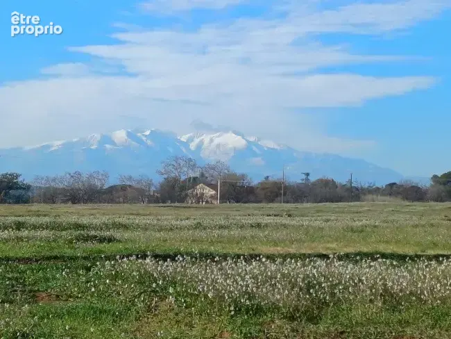 Photo Terrain à Villeneuve-De-La-Raho au prix de 260 000€
