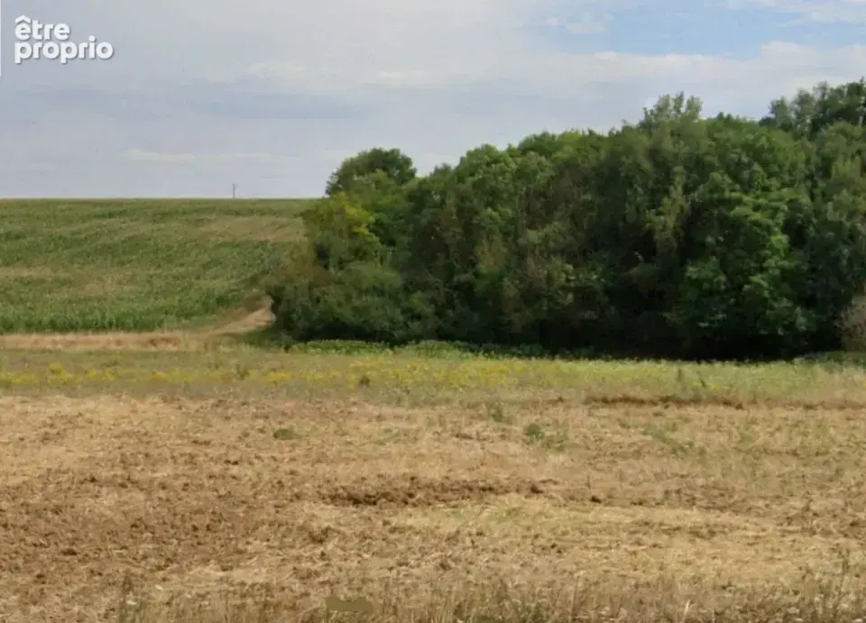 Photo Terrain à Gas au prix de 80 900€
