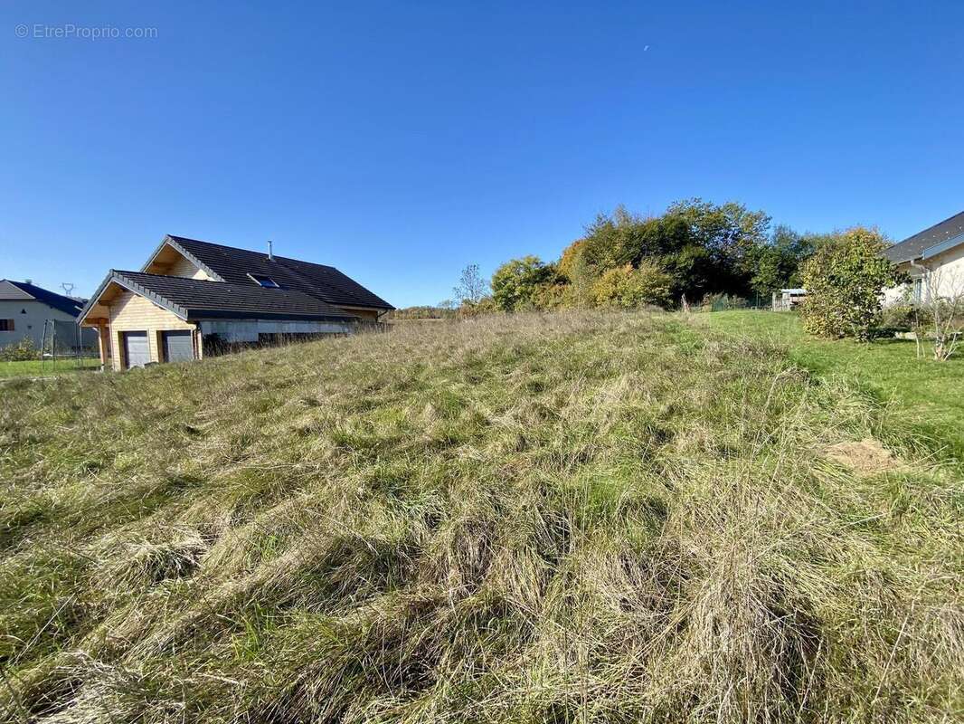 Photo 3 - Terrain à HAUTEVILLE-LOMPNES