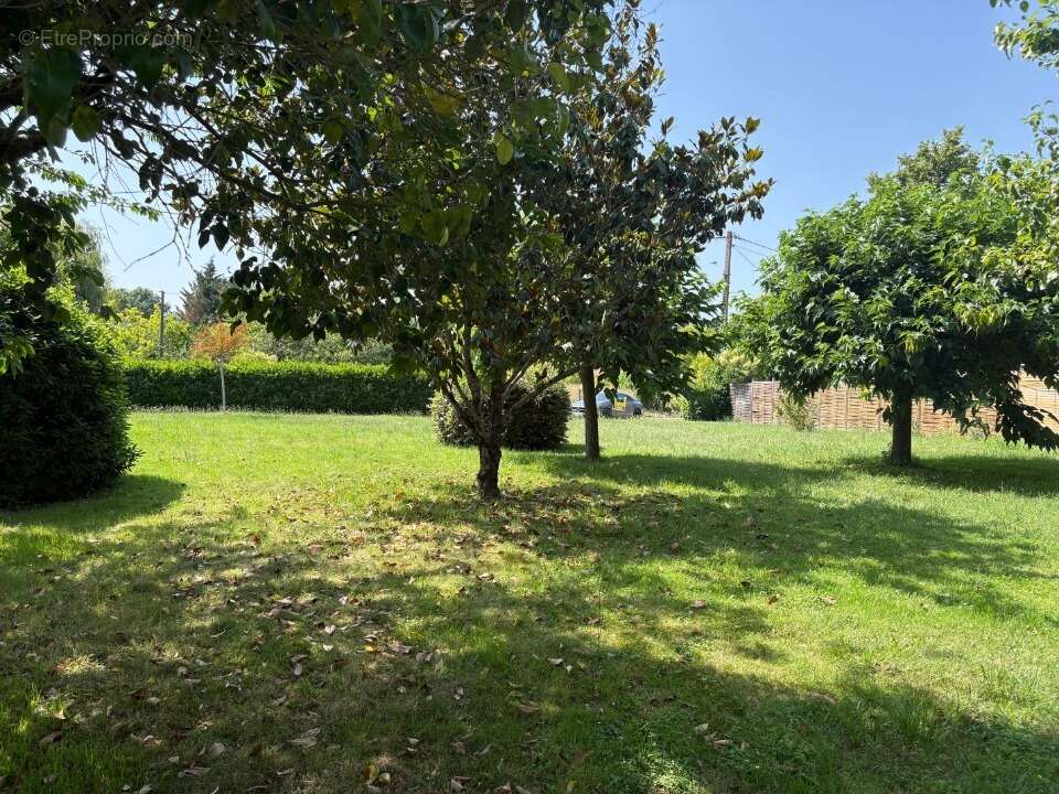 Terrain à VILLAUDRIC