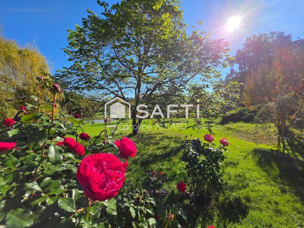 Photo 6 - Maison à SAINT-LAURENT