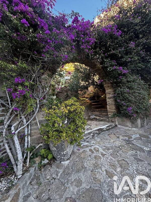 Photo 1 - Maison à BORMES-LES-MIMOSAS