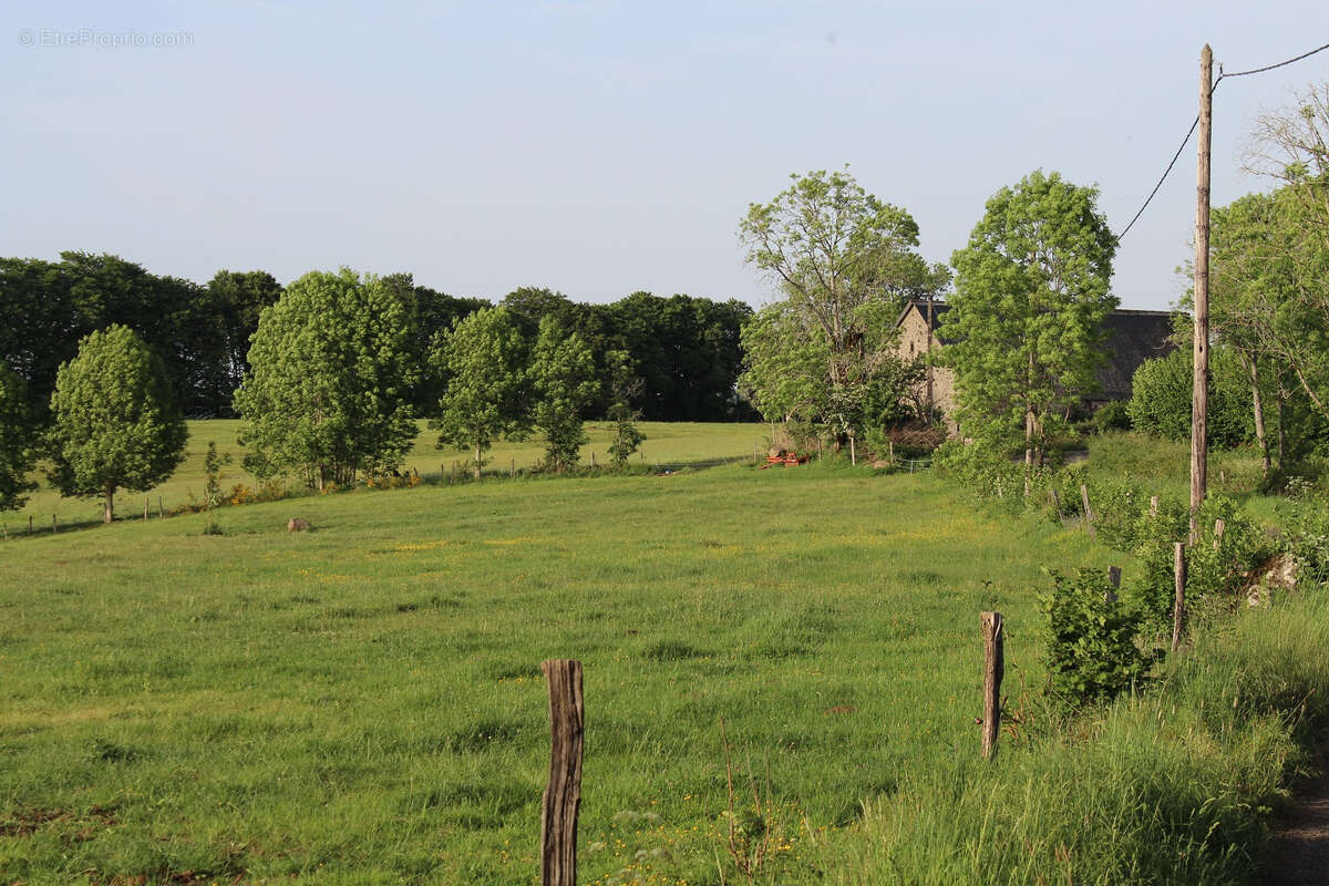 Maison à ANGLARDS-DE-SALERS