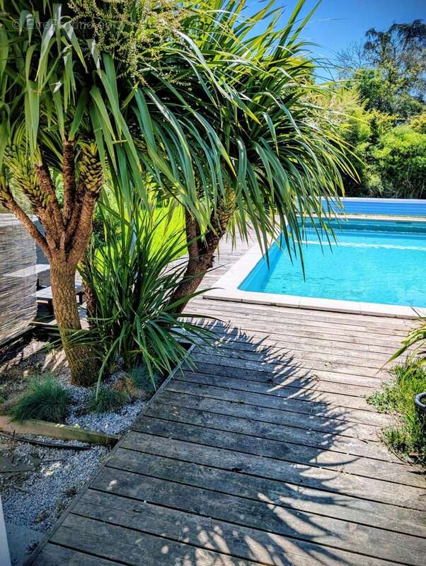 Maison à SAINT-MICHEL-DE-FRONSAC