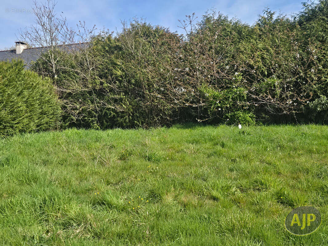 Terrain à HERBIGNAC