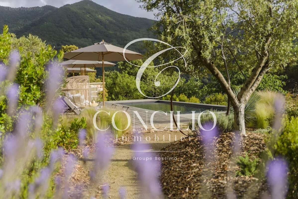 Maison à SARI-D'ORCINO
