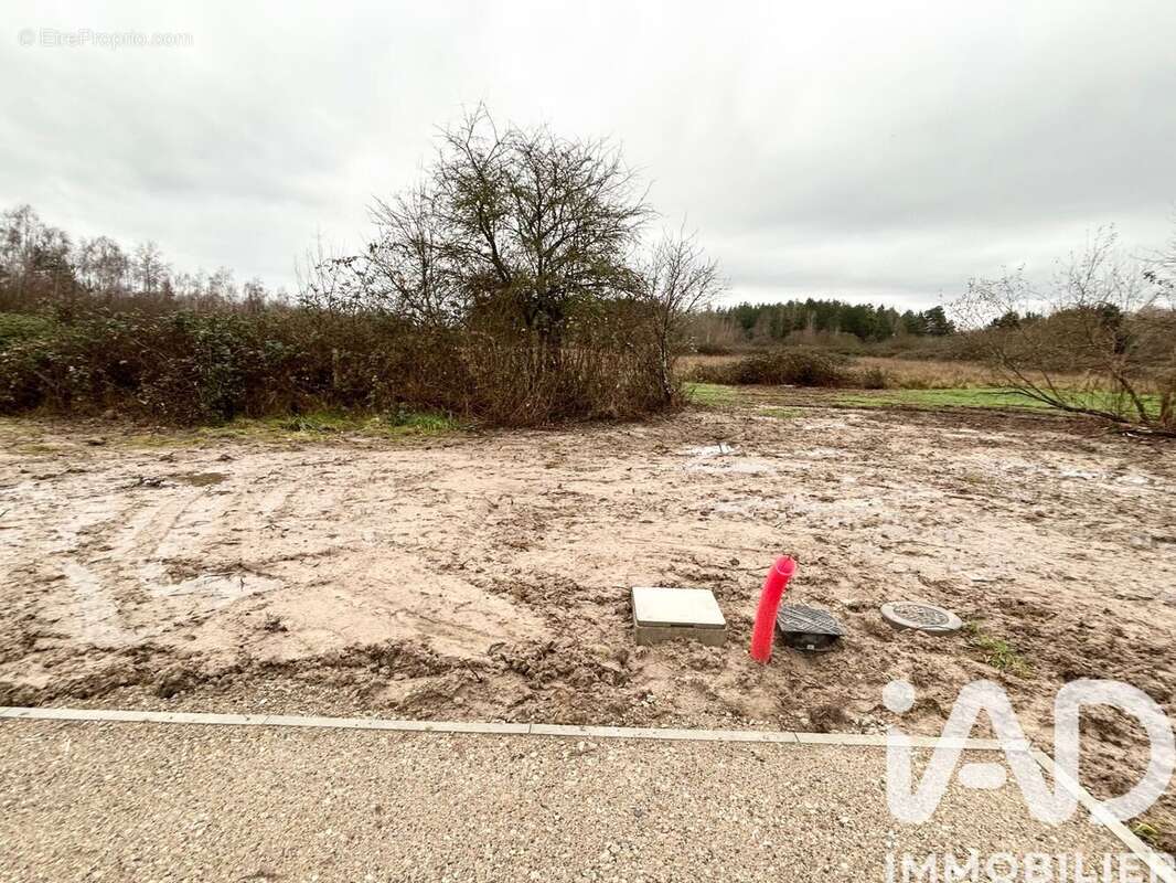 Photo 2 - Terrain à PRUNIERS-EN-SOLOGNE