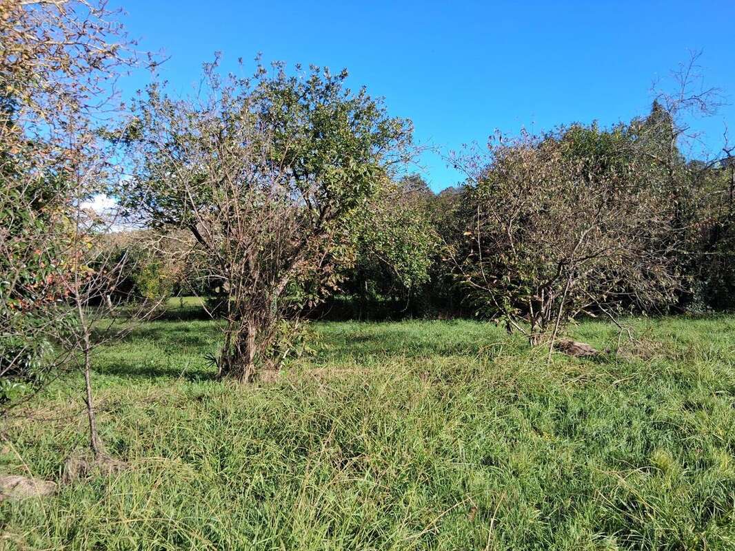 Photo 2 - Terrain à NOE