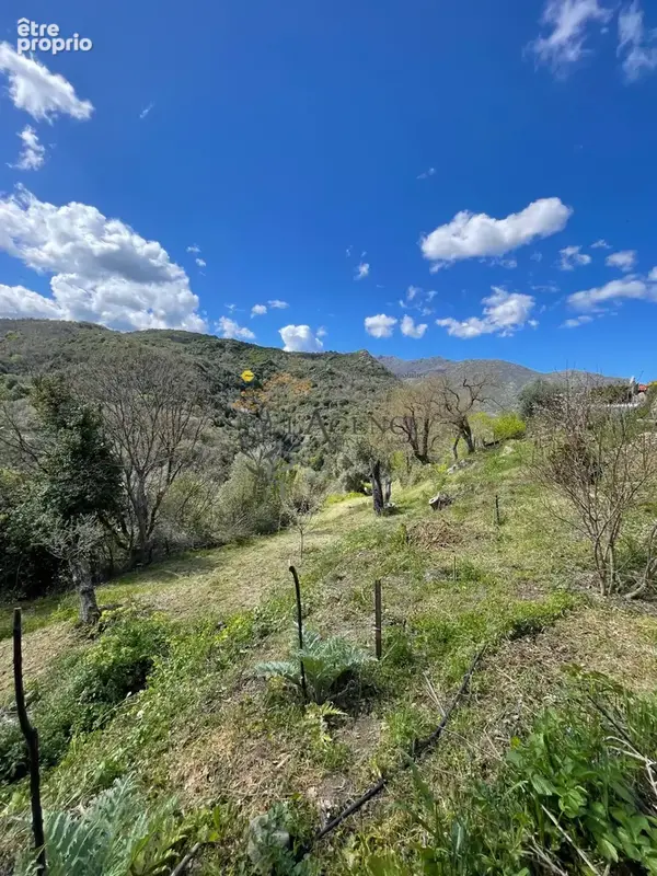À acheter 109610 € à Piève : terrain avec L'Agence Bastia Balagne - photo 3