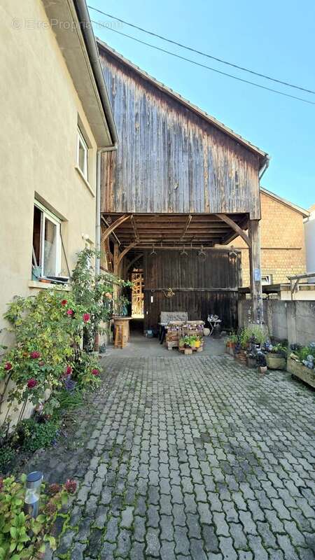 Maison à PLOBSHEIM