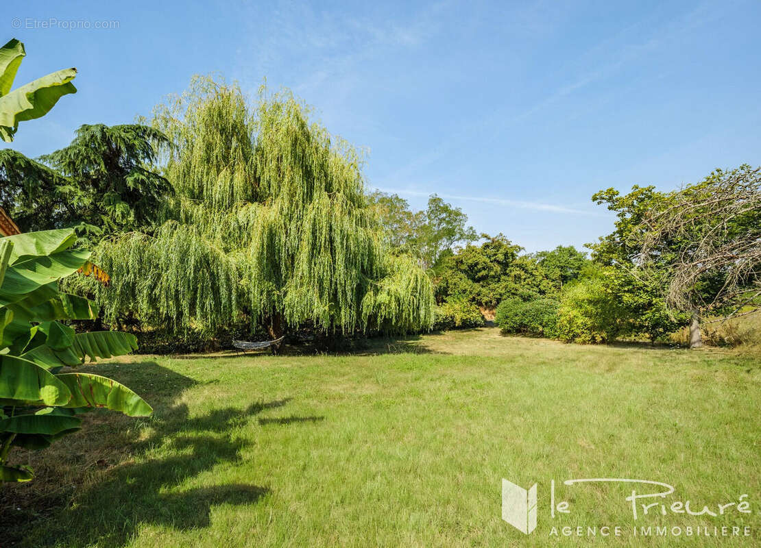 À 10 minutes d'Albi, maison familiale de plus de 200 m² avec vue dégagée sur la campagne - photo 2