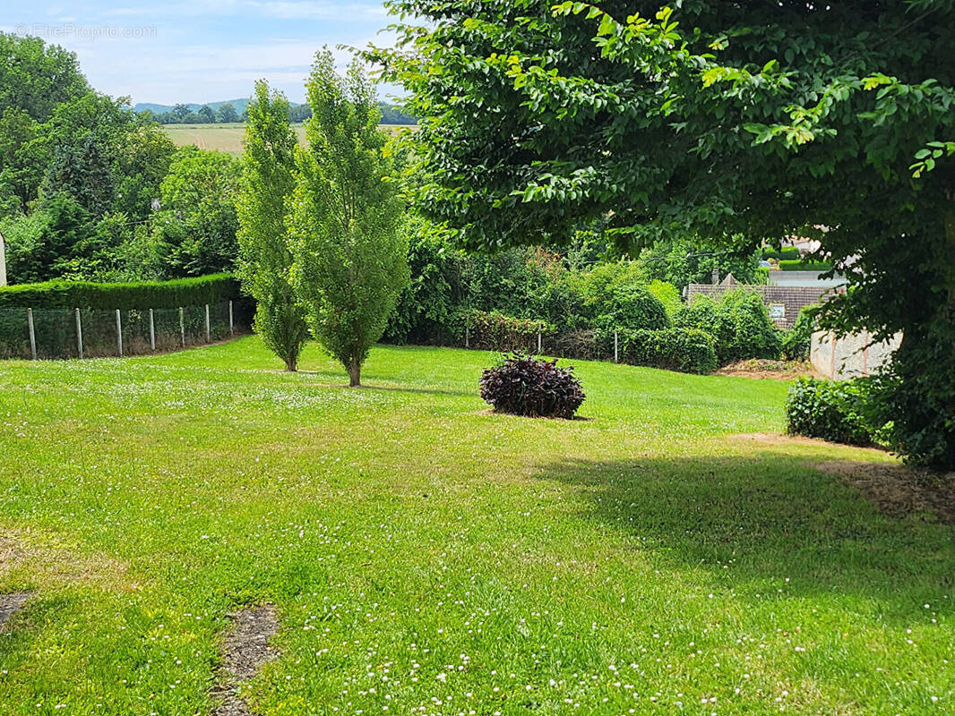 Terrain à SAINTE-GENEVIEVE