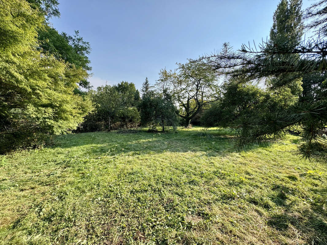 Maison à COULOMMIERS