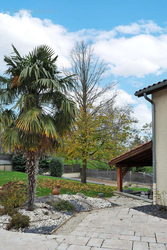 Photo 3 - Maison à DIEMOZ