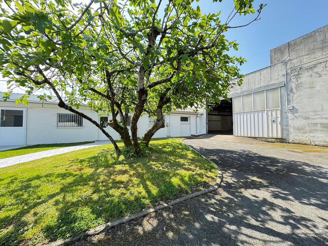 Commerce à LATRESNE