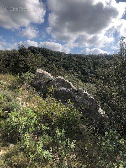 Photo 5 - Terrain à SAINT-BONNET-DU-GARD