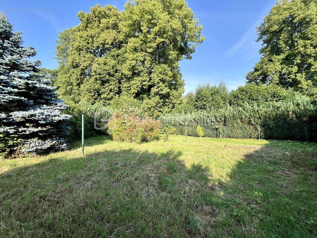 Maison individuelle de plain-pied sur sous-sol à Frénois - photo 3
