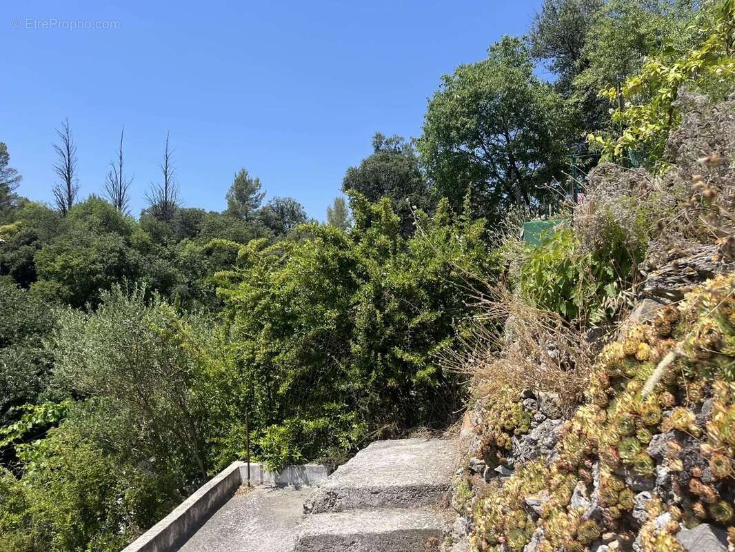 Maison à MONTFORT-SUR-ARGENS