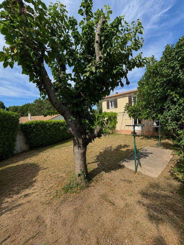 Maison à BOUC-BEL-AIR