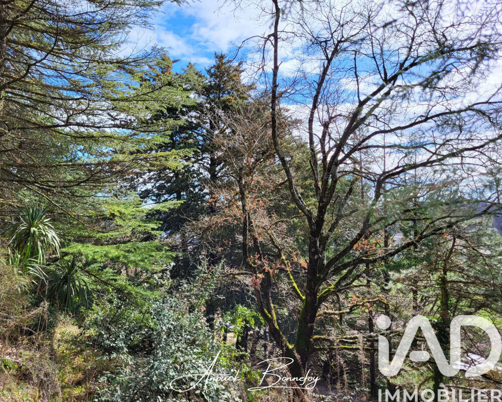 Photo 3 - Maison à SAINT-DONAT-SUR-L&#039;HERBASSE