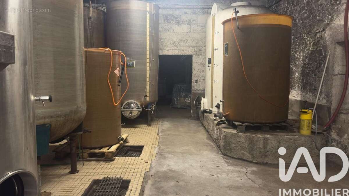 Photo 2 - Maison à MONNIERES