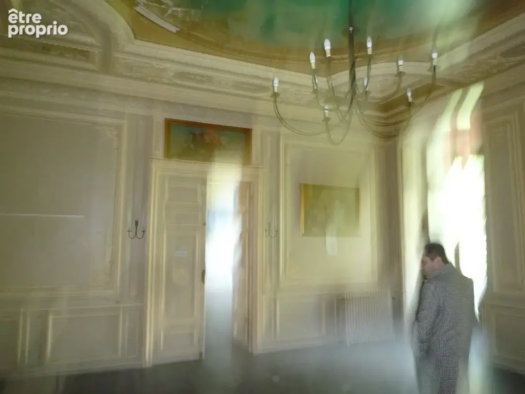 Dpt Seine et Marne (77), La Ferté sous Jouarre à vendre superbe propriété de 80 chambres sur son parc de 14,8 hectares - photo 29