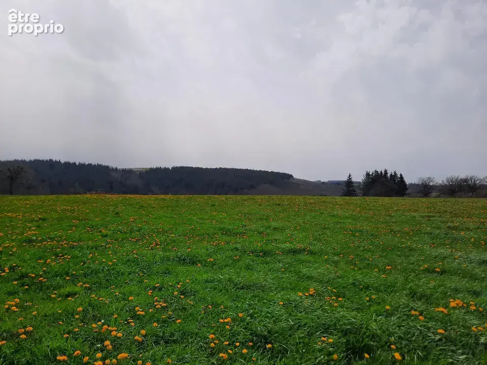 Terrain 1 500 m² à vendre à Roannes-Saint-Mary (15220) - photo 3
