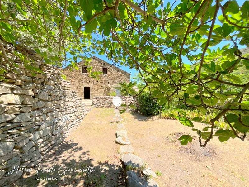 Ancien Moulin en Pierre avec dépendances sur près de 2,3 hectares – Santo-Pietro-di-Tenda - photo 47