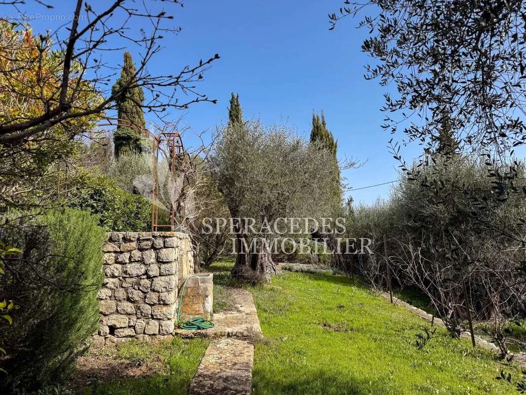 Maison à SPERACEDES