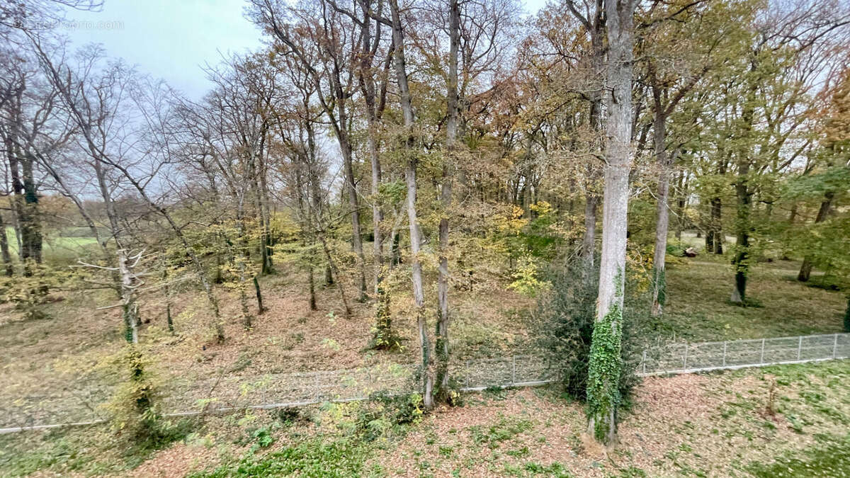 Appartement à TOURS