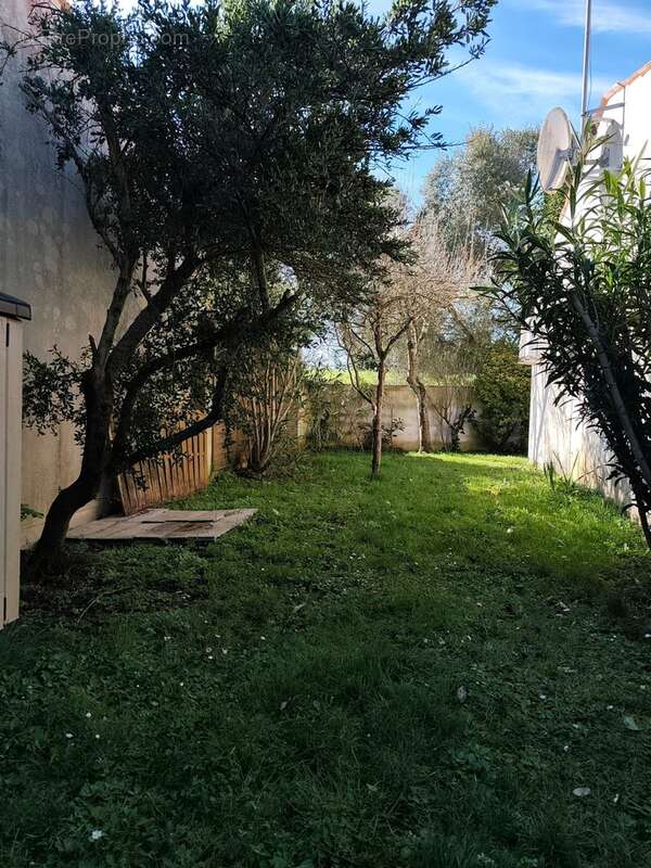 Maison à vendre 3 pièces MARENNES (17) - photo 29
