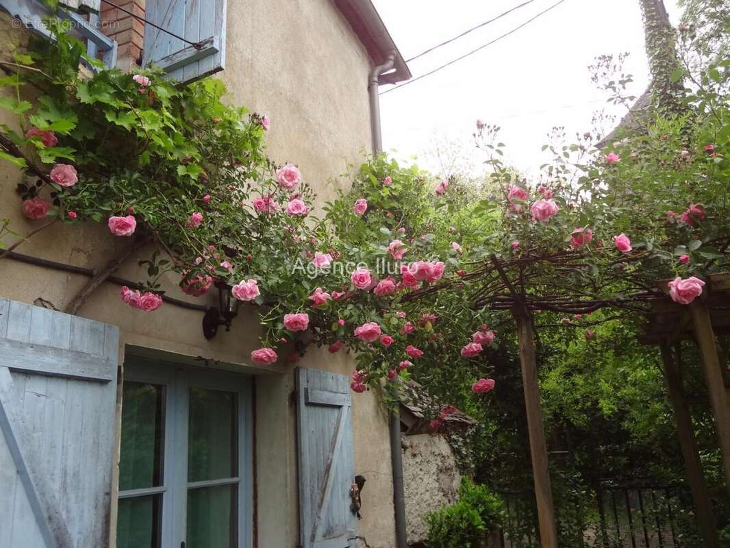 DSC07249 - Maison à OLORON-SAINTE-MARIE