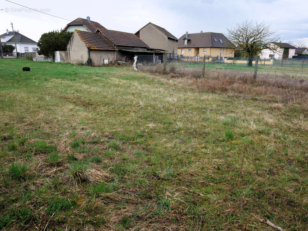 Terrain à HIRTZFELDEN