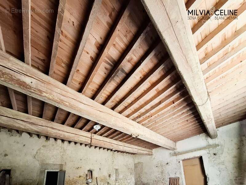 Propriete à vendre 32 pièces proche de CARCASSONNE (11) 2 habitations 522m2+ parc 2,82 hectares + dépendances - photo 22