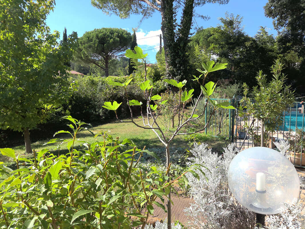 Anduze au portes ces cevennes villa 149 m²et appartement independant - photo 8
