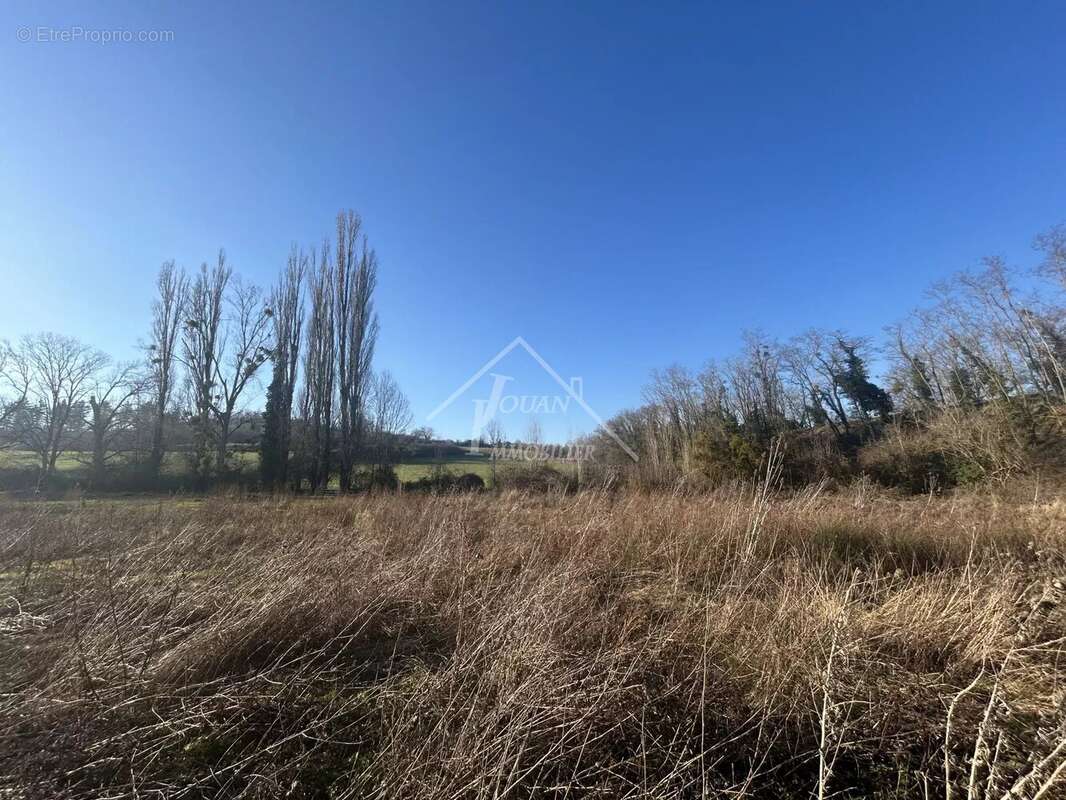 Commerce à BELLENAVES