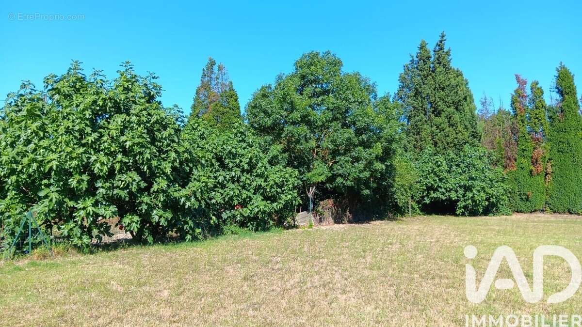 Terrain 1020 m² à Labastide-D'anjou  - photo 5