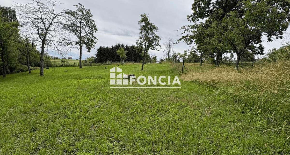 Propriété rare - Plus de 180 m² sur 26 Ares - photo 7