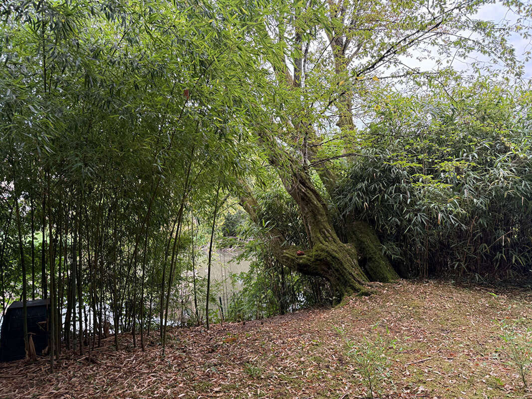 FIGEAC - Appartement T4  de 112 m² avec Jardin en Bord de Célé, Garage et Cave - photo 14